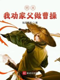 我带明末回汉唐