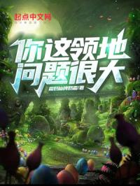 你这领地问题很大